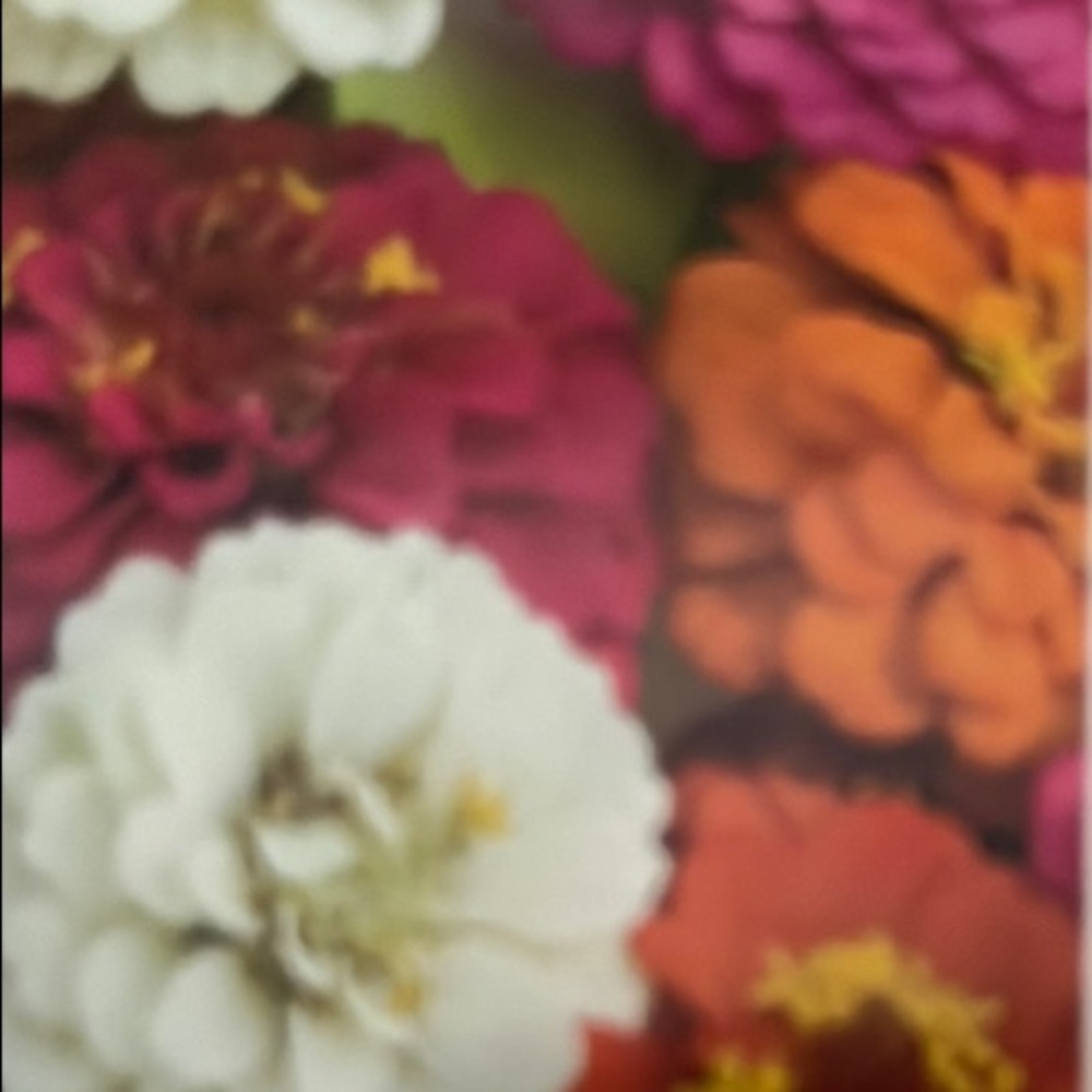 Floral Home Accent Wall Art
